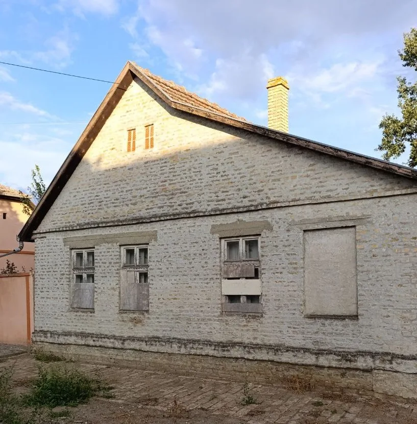 Дом с большим участком в центре села. 50 км до Нови Сада.