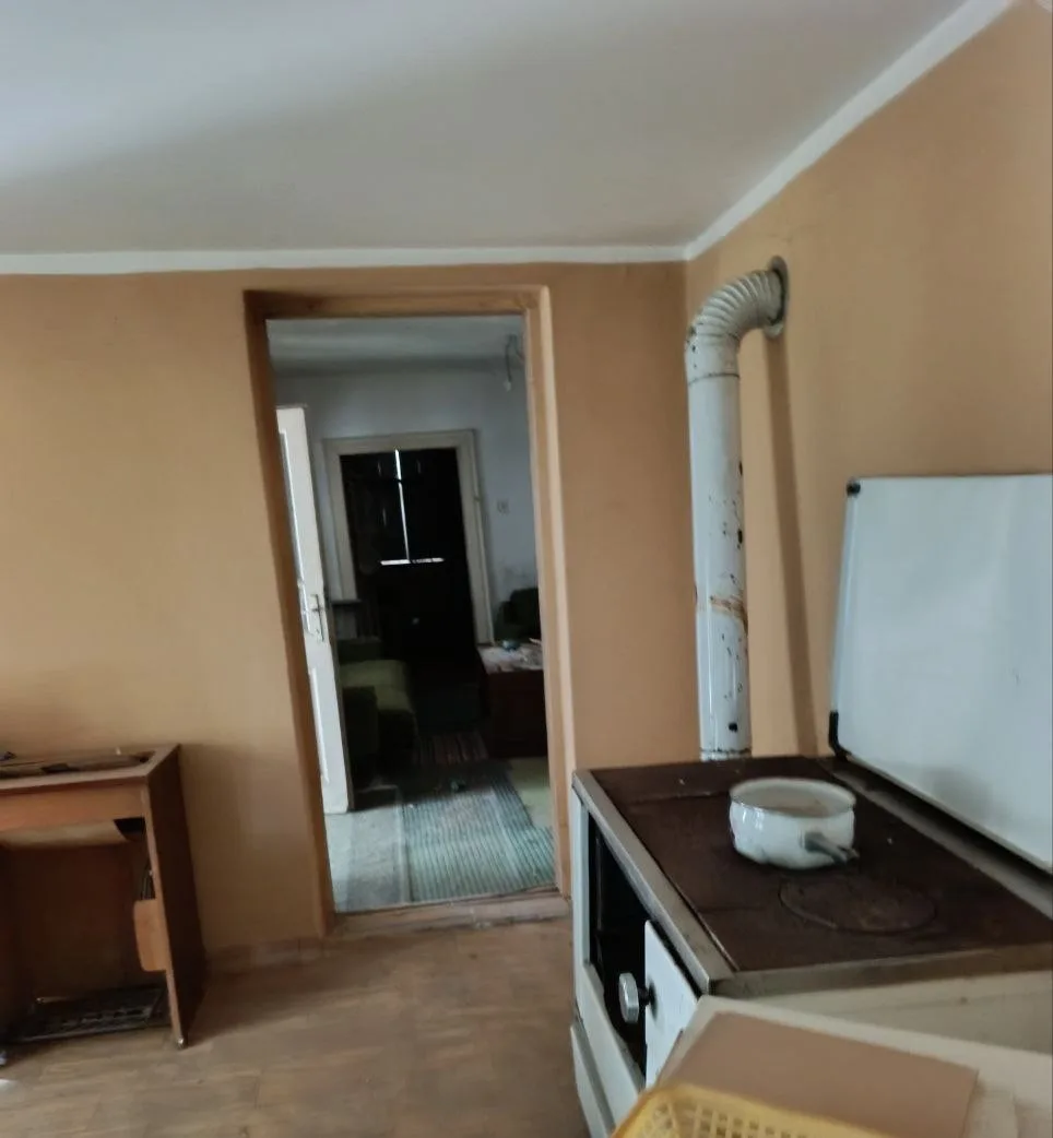 Дом с большим участком в центре села. 50 км до Нови Сада.