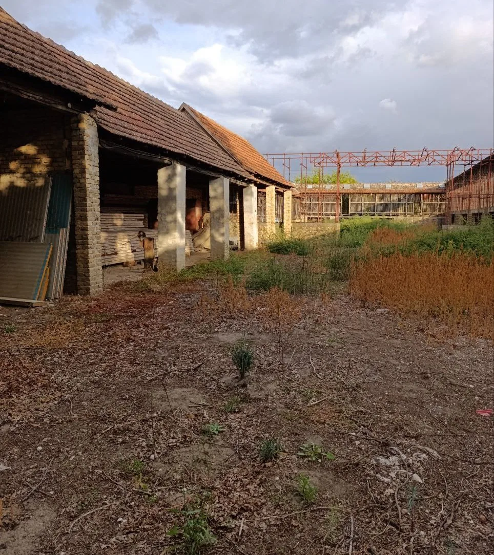 Дом с большим участком в центре села. 50 км до Нови Сада.
