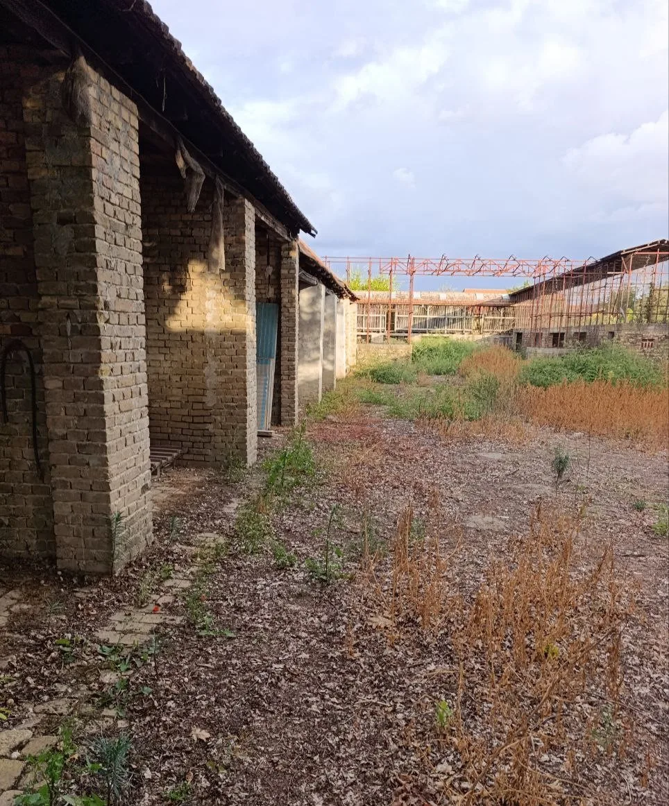Дом с большим участком в центре села. 50 км до Нови Сада.